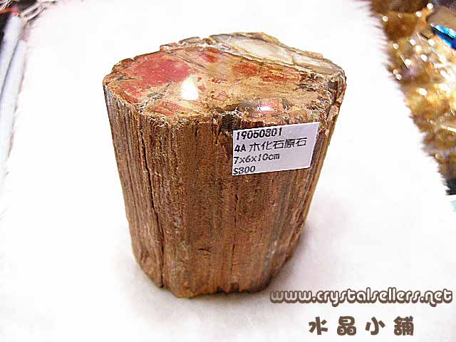 [SOLD]4A Petrified Wood