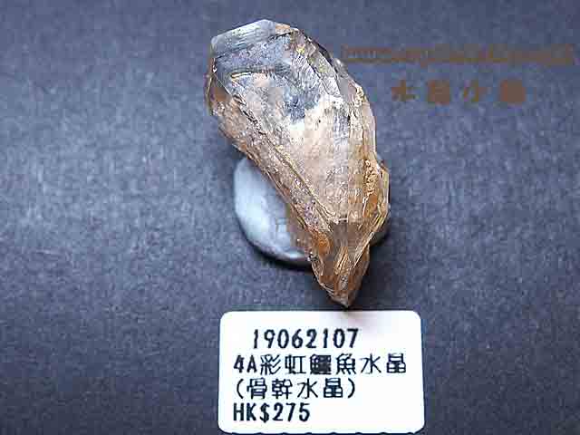 4A彩虹鱷魚水晶(骨幹水晶)原石