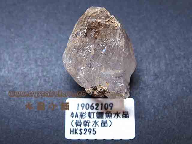 4A彩虹鱷魚水晶(骨幹水晶)原石