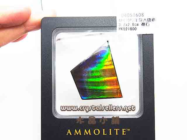 [SOLD]4A(TOP) Ammolite